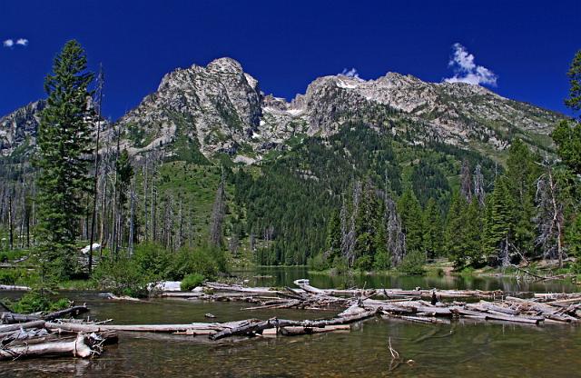 193 grand teton national park.JPG
